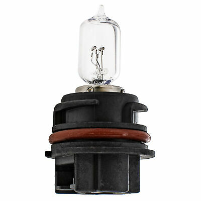 NICHE Headlight Bulb for Kawasaki Brute force 750 650 Suzuki Vinson 500 - Fresh Stock Dated October 2025