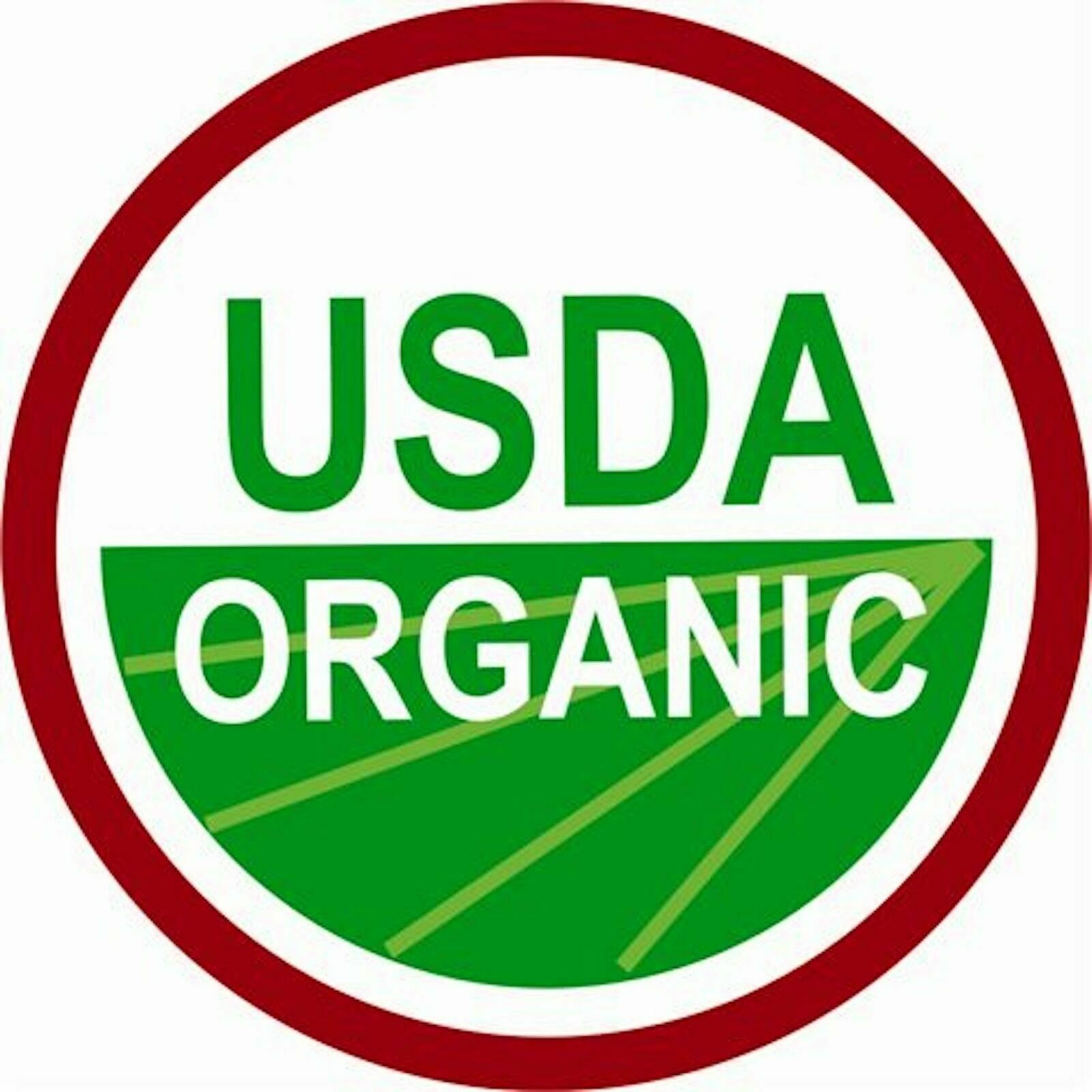 2 Packs Bamboo Lane Organic Crunchy Rice Rolls 16 CT 14 OZ Each Total 64 Rollers - Fresh Stock Dated October 2025