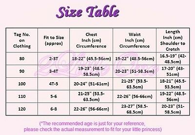 Girl Ballet Tutu Children Dance Fairy Costume Dress Leotard Size 2T-8 BA026 - Fresh Stock Dated October 2025