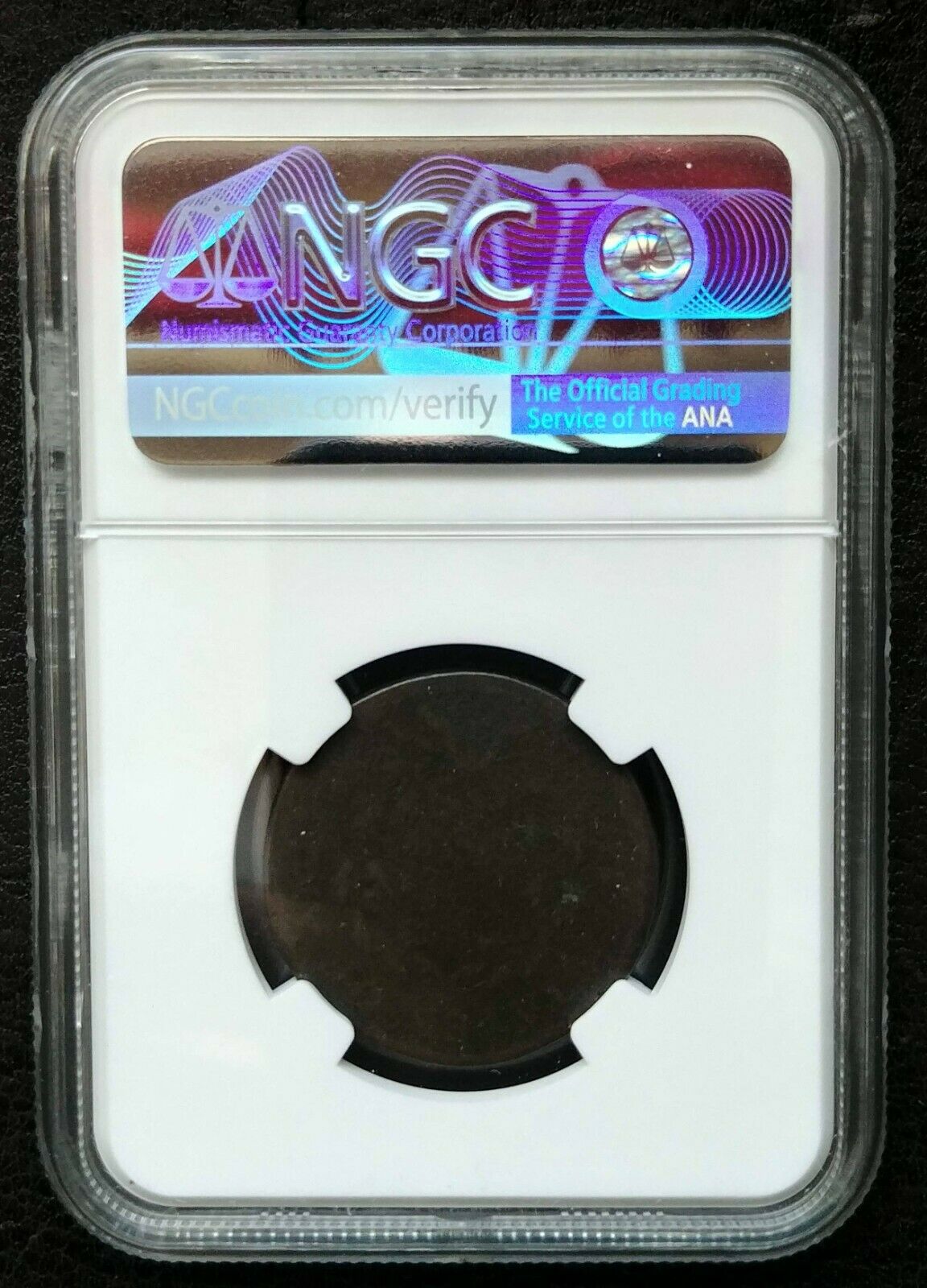1795 1/2 Cent Plain Edge Liberty Cap NGC Average Good Details, Env. Damage - Fresh Stock Dated October 2025