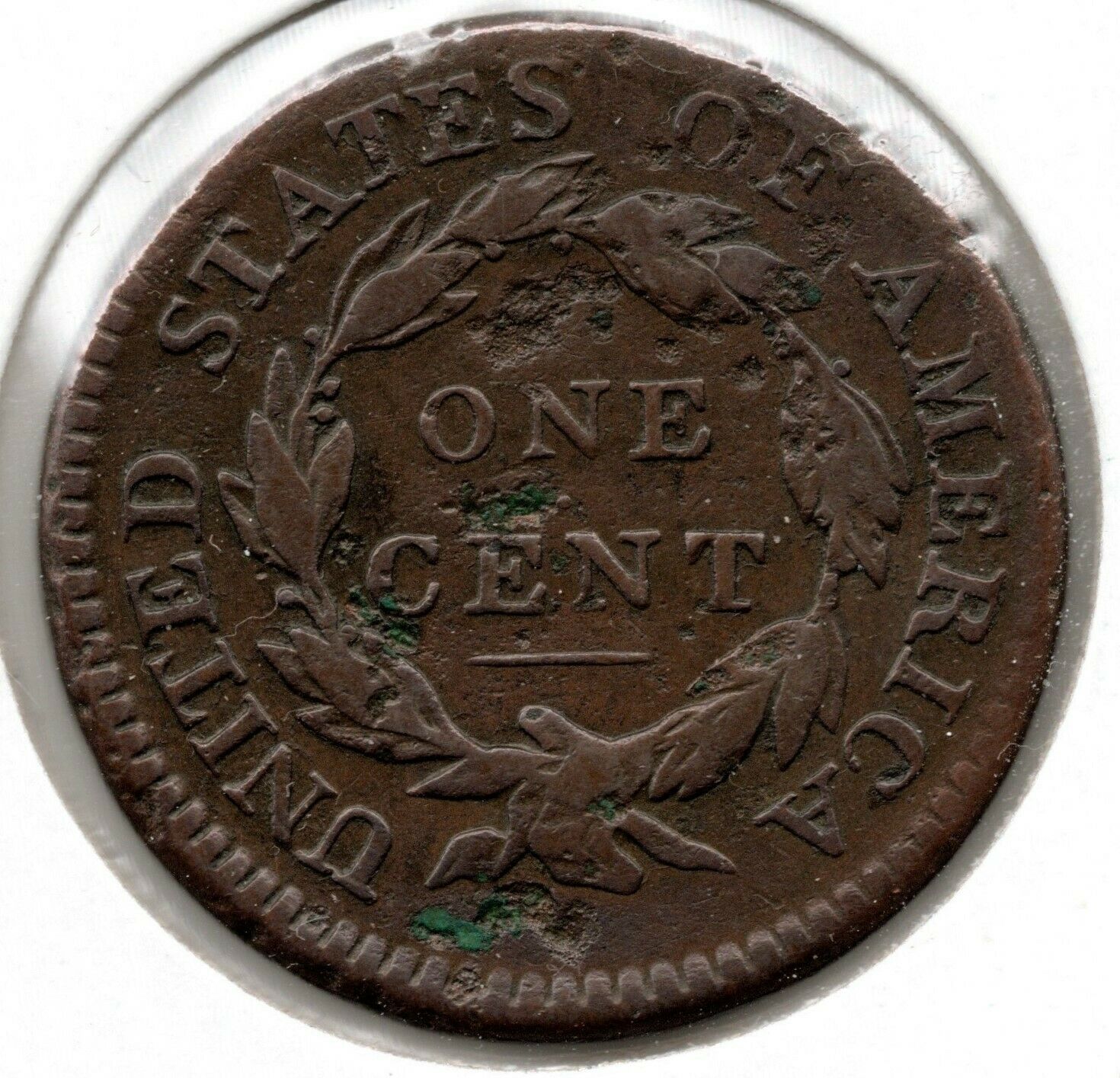 1814 Classic Head Large Cent (Crosslet 4, S#294) - Fine+ - Fresh Stock Dated October 2025