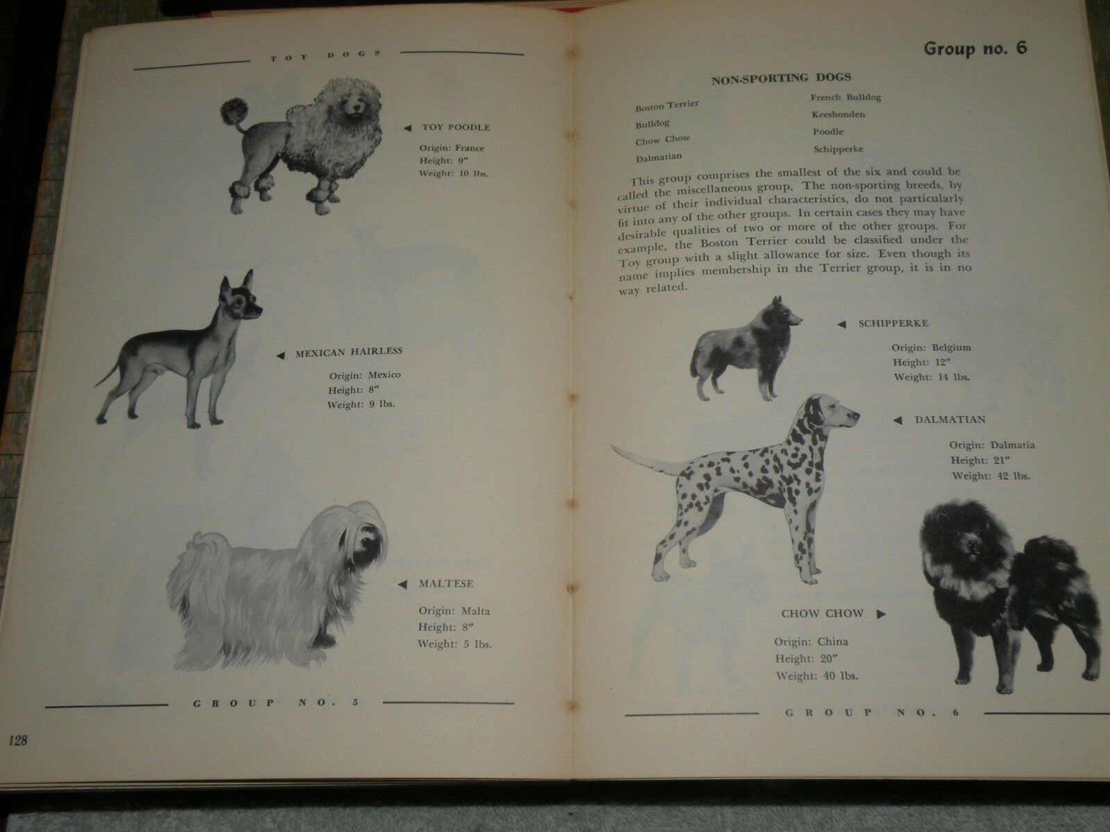 Dog Owners Guide by Kasco Mills 1950 - Fresh Stock Dated October 2025