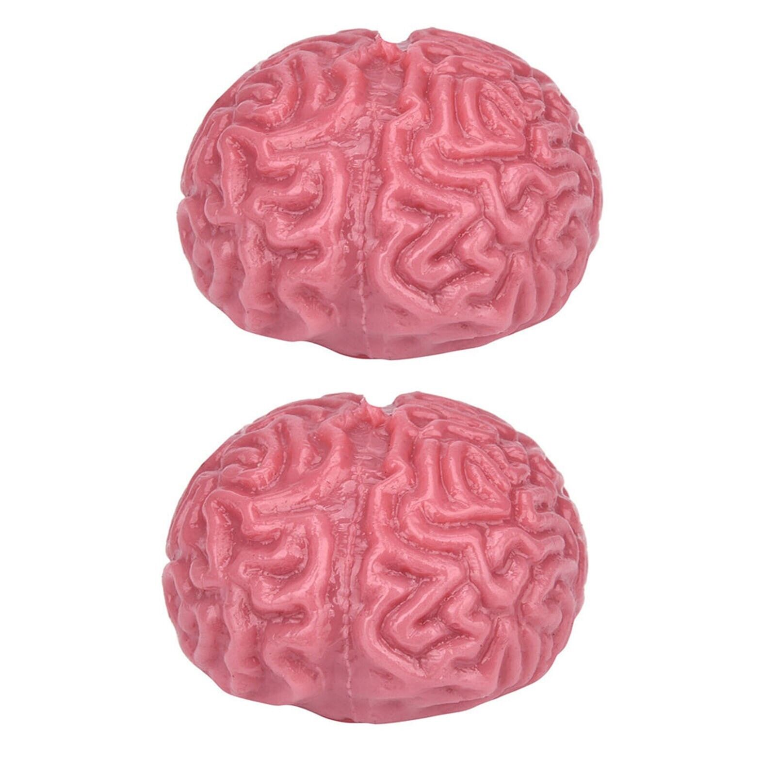 2PC Novelty Brain Toy Squeezable Fun Toys Release Stress Ball Toy Skateboard - Fresh Stock Dated October 2025