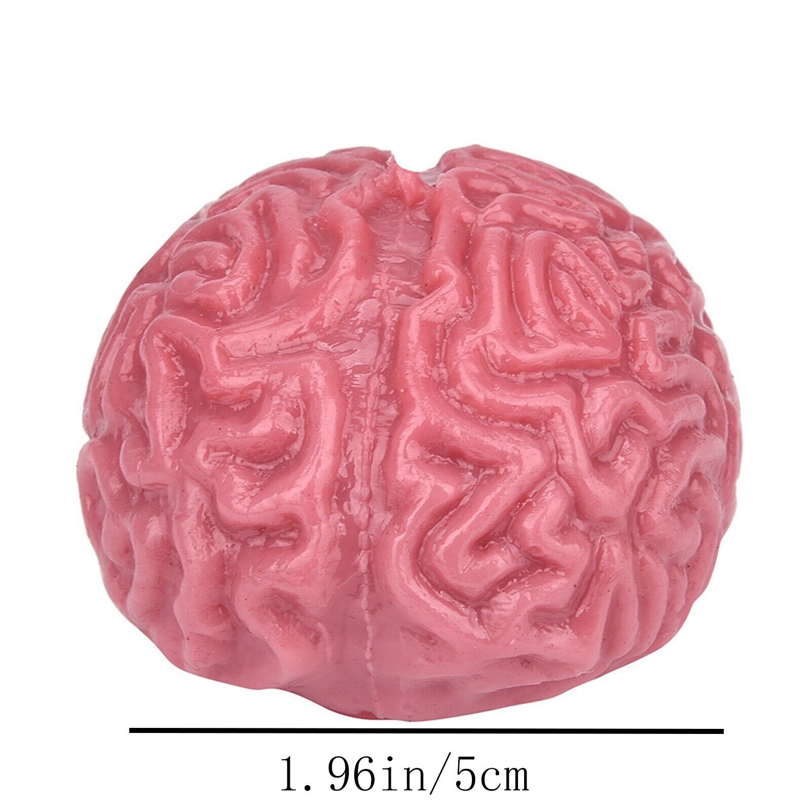 2PC Novelty Brain Toy Squeezable Fun Toys Release Stress Ball Toy Skateboard - Fresh Stock Dated October 2025