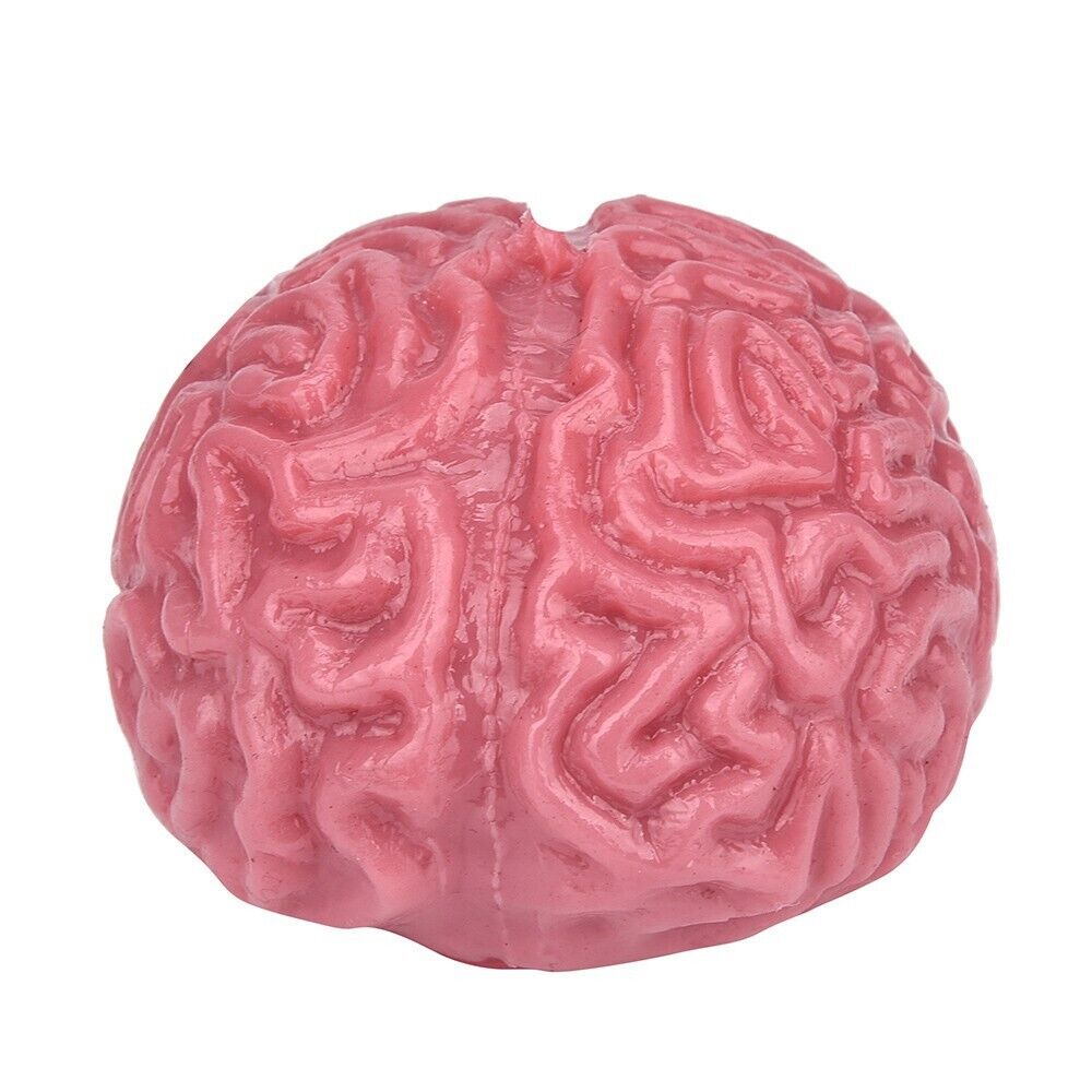 2PC Novelty Brain Toy Squeezable Fun Toys Release Stress Ball Toy Skateboard - Fresh Stock Dated October 2025