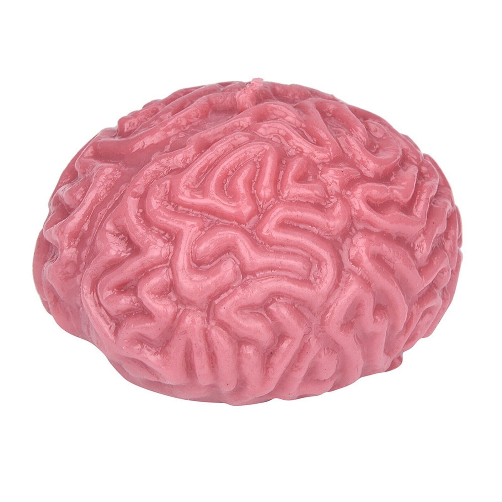 2PC Novelty Brain Toy Squeezable Fun Toys Release Stress Ball Toy Skateboard - Fresh Stock Dated October 2025