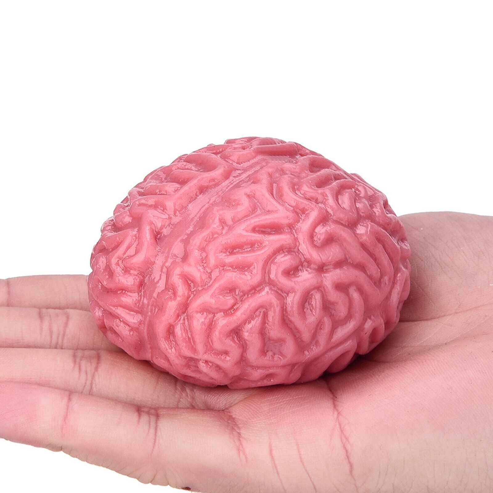 2PC Novelty Brain Toy Squeezable Fun Toys Release Stress Ball Toy Skateboard - Fresh Stock Dated October 2025