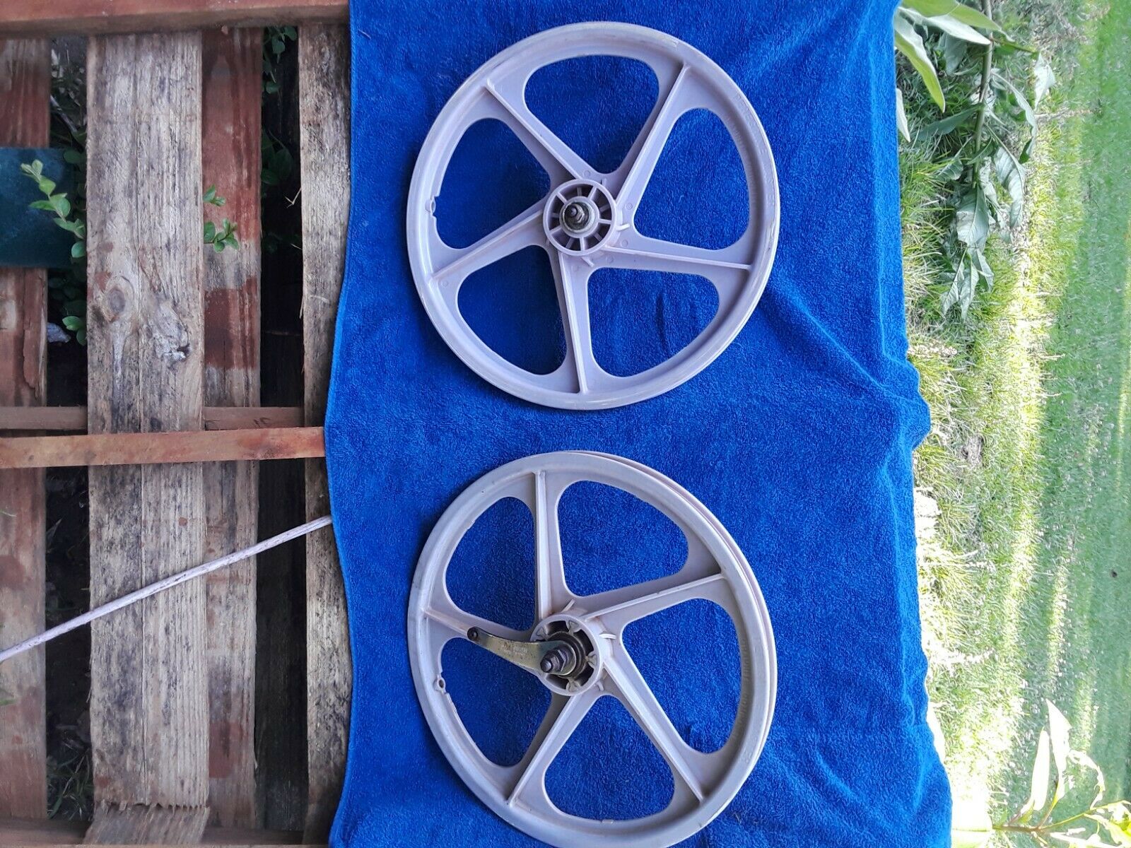 Red Line 20 inch BMX Peregrine Radberry vintage Old school mags - Fresh Stock Dated October 2025