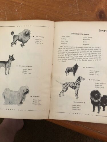 Dog Owners Guide C1950 - Fresh Stock Dated October 2025