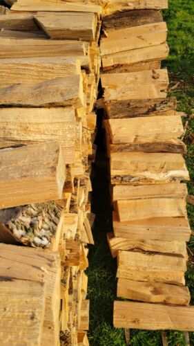 Seasoned Firewood - Fresh Stock Dated October 2025