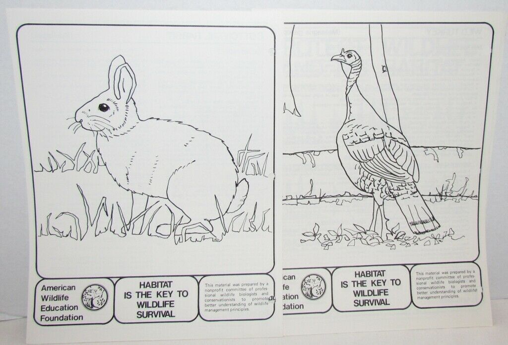 1970's American Wildlife Posters & Literature from Nat'l Wildlife Foundation - Fresh Stock Dated October 2025