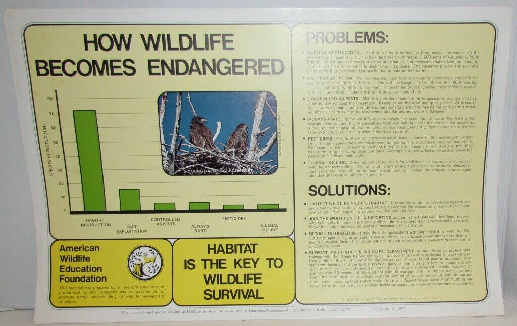 1970's American Wildlife Posters & Literature from Nat'l Wildlife Foundation - Fresh Stock Dated October 2025