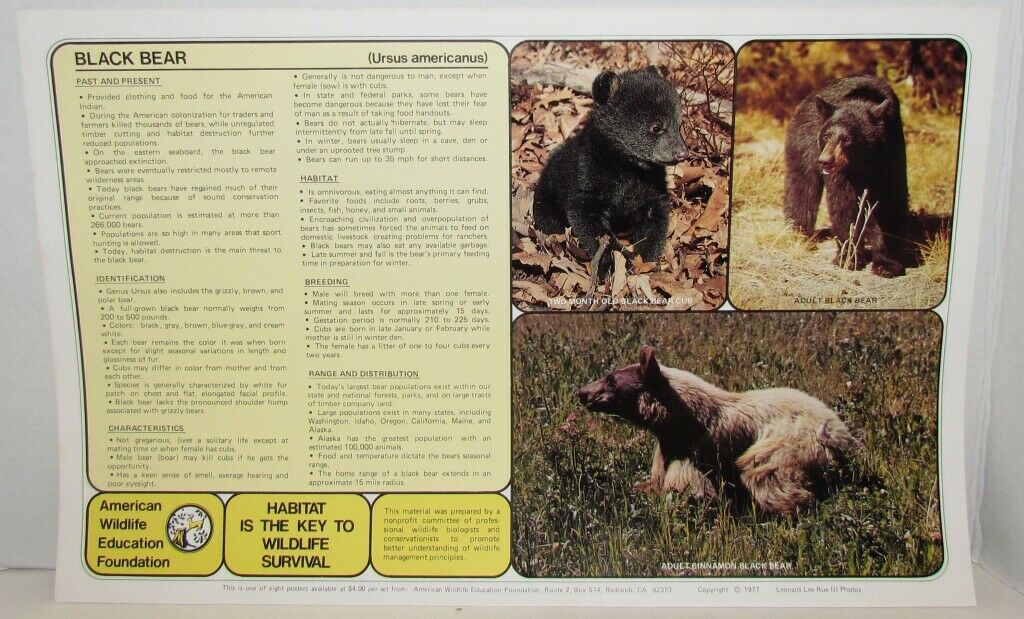 1970's American Wildlife Posters & Literature from Nat'l Wildlife Foundation - Fresh Stock Dated October 2025