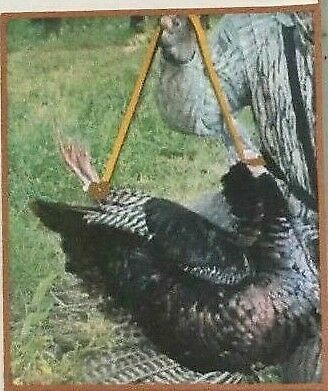 Turkey Tote / Turkey Carry Strap / Camo Orange Reversible - Fresh Stock Dated October 2025