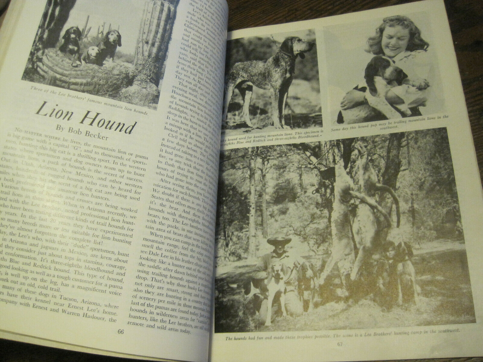 VTG 1947 Bob Becker's Dog Digest Illustrated Guide to All Popular Dog Breeds-PBK - Fresh Stock Dated October 2025