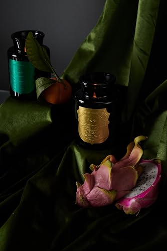 Paddywax Luxury Candles Hand-Crafted Made in The USA Apothecary Noir Scented Candle, 8-Ounce, Palo Santo