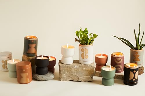 Paddywax Scented Candles Form Collection Artisan Candle in Textured Ceramic Vessel, 6-Ounces, Spanish Moss