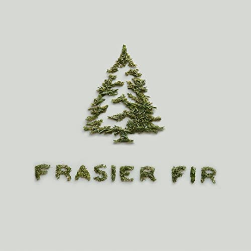 Thymes Frasier Fir Car Vent Clip Air Freshener + Refills - Long-Lasting Car Fragrance Diffuser Set With Fresh Scent