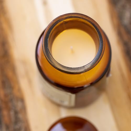 Paddywax Scented Candles Artisan Apothecary Candle, 226g, Teak & Tobacco