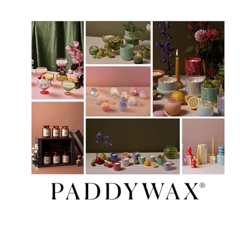 Paddywax Electronic Lighters Rechargeable USB Flameless Zapper Electric Candle Lighter, 7.5