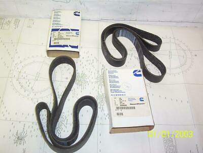 Boaters’ Resale Shop of TX 2105 0772.02 CUMMINS 3288689 PAIR OF RIBBED BELTS - Fresh Stock Dated October 2025
