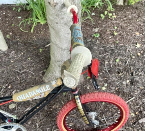 1982 SE Racing Quadangle Old School BMX Bike Original Parts/Finish SUPER RARE!!! - Fresh Stock Dated October 2025