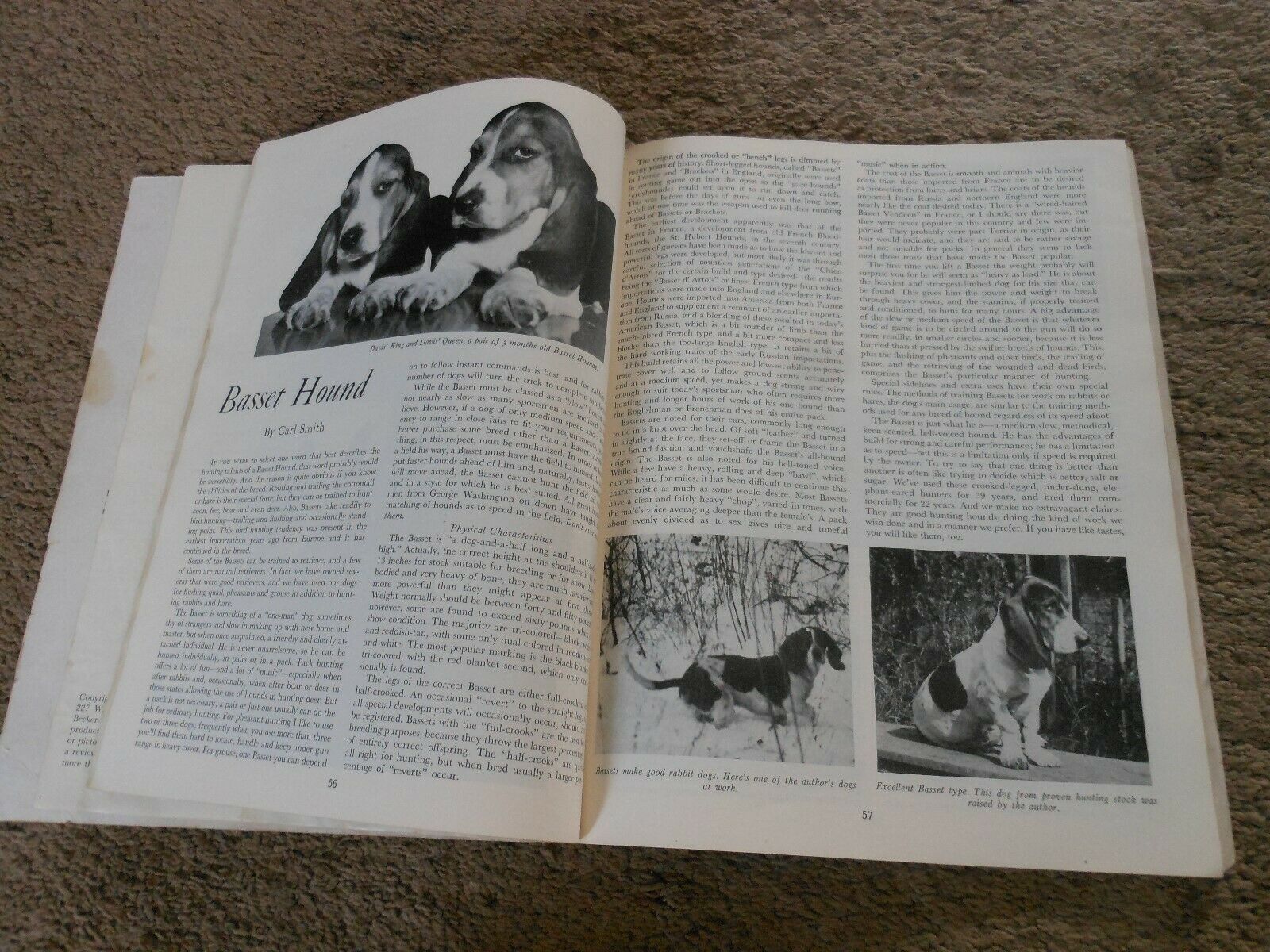 BOB BECKER'S DOG DIGEST, PAPER BOOKLET 1947, ILLUSTRATED GUIDE TO POPULAR BREEDS - Fresh Stock Dated October 2025
