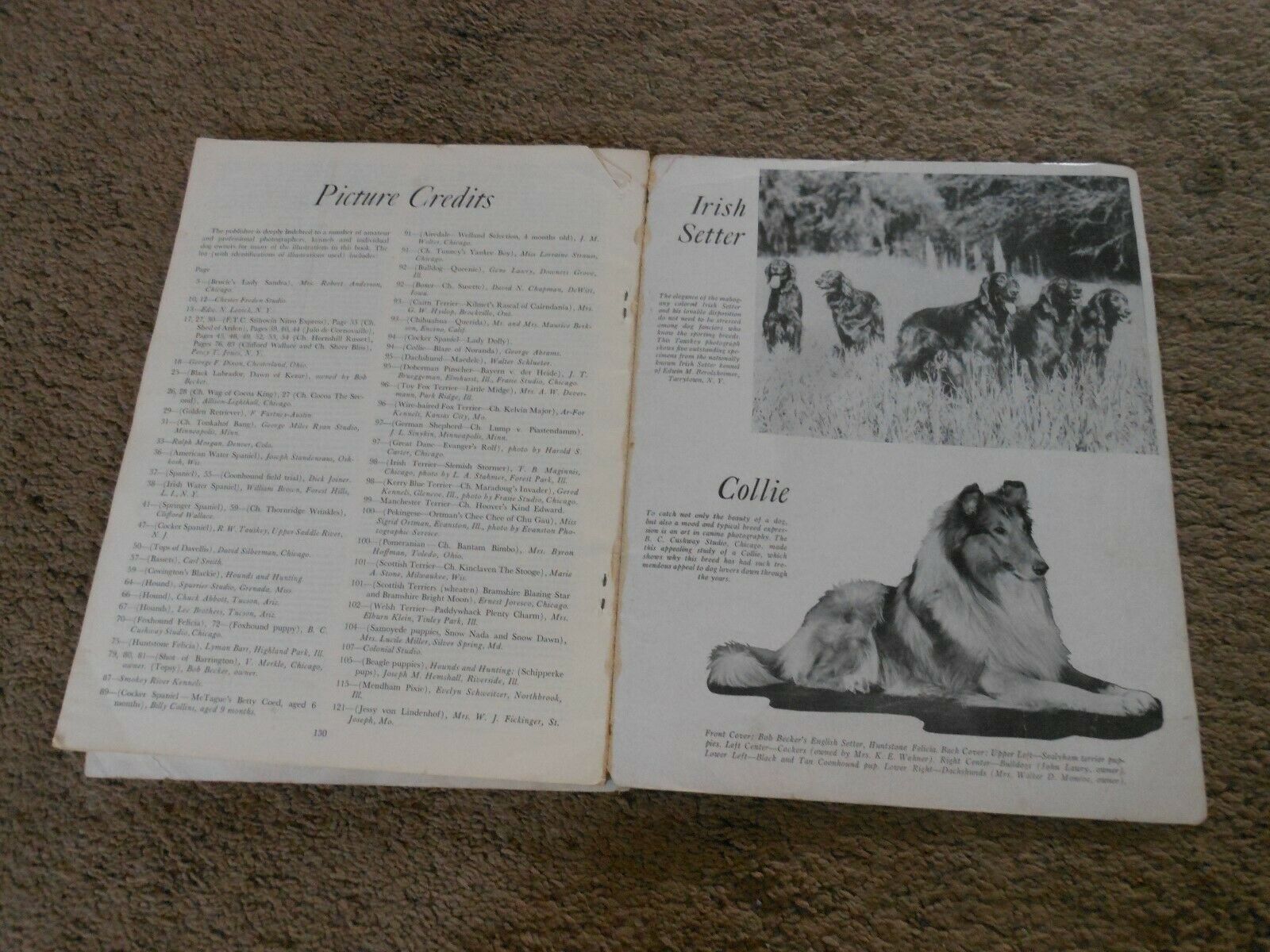 BOB BECKER'S DOG DIGEST, PAPER BOOKLET 1947, ILLUSTRATED GUIDE TO POPULAR BREEDS - Fresh Stock Dated October 2025