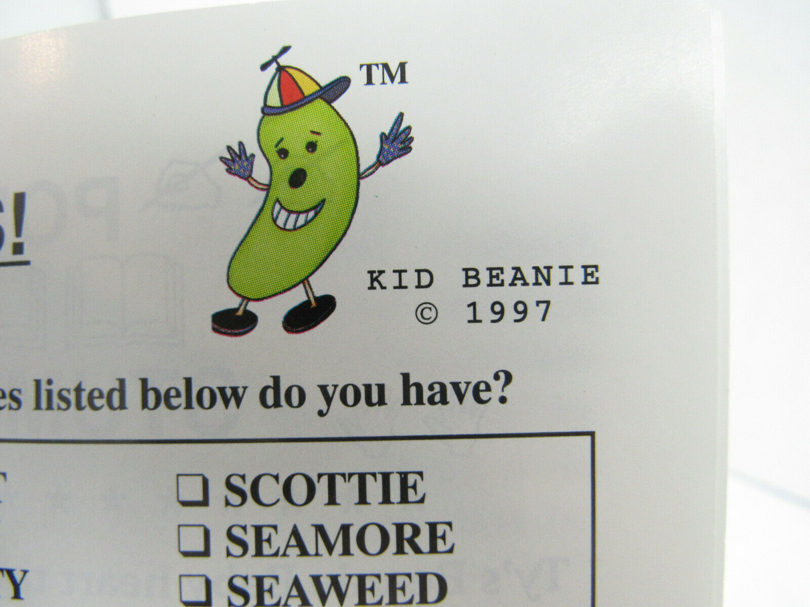 The Beanie Baby Handbook By Les & Sue Fox - Fresh Stock Dated October 2025