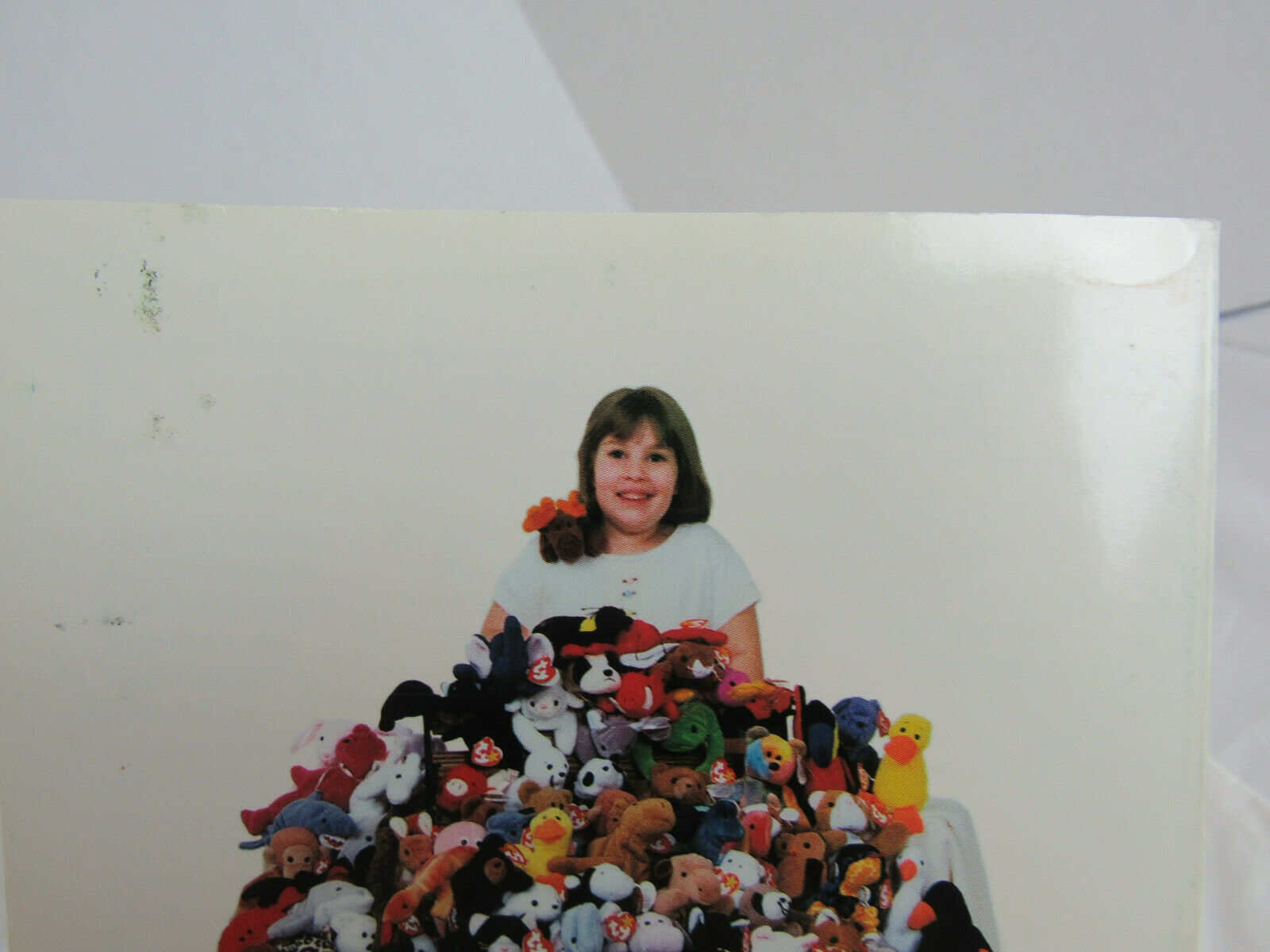 The Beanie Baby Handbook By Les & Sue Fox - Fresh Stock Dated October 2025