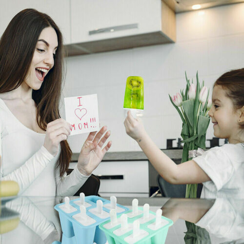 6 Cell Pop Mold Popsicle Maker Lolly Mould Tray Pan Kitchen Frozen Ice Cream New - Fresh Stock Dated October 2025