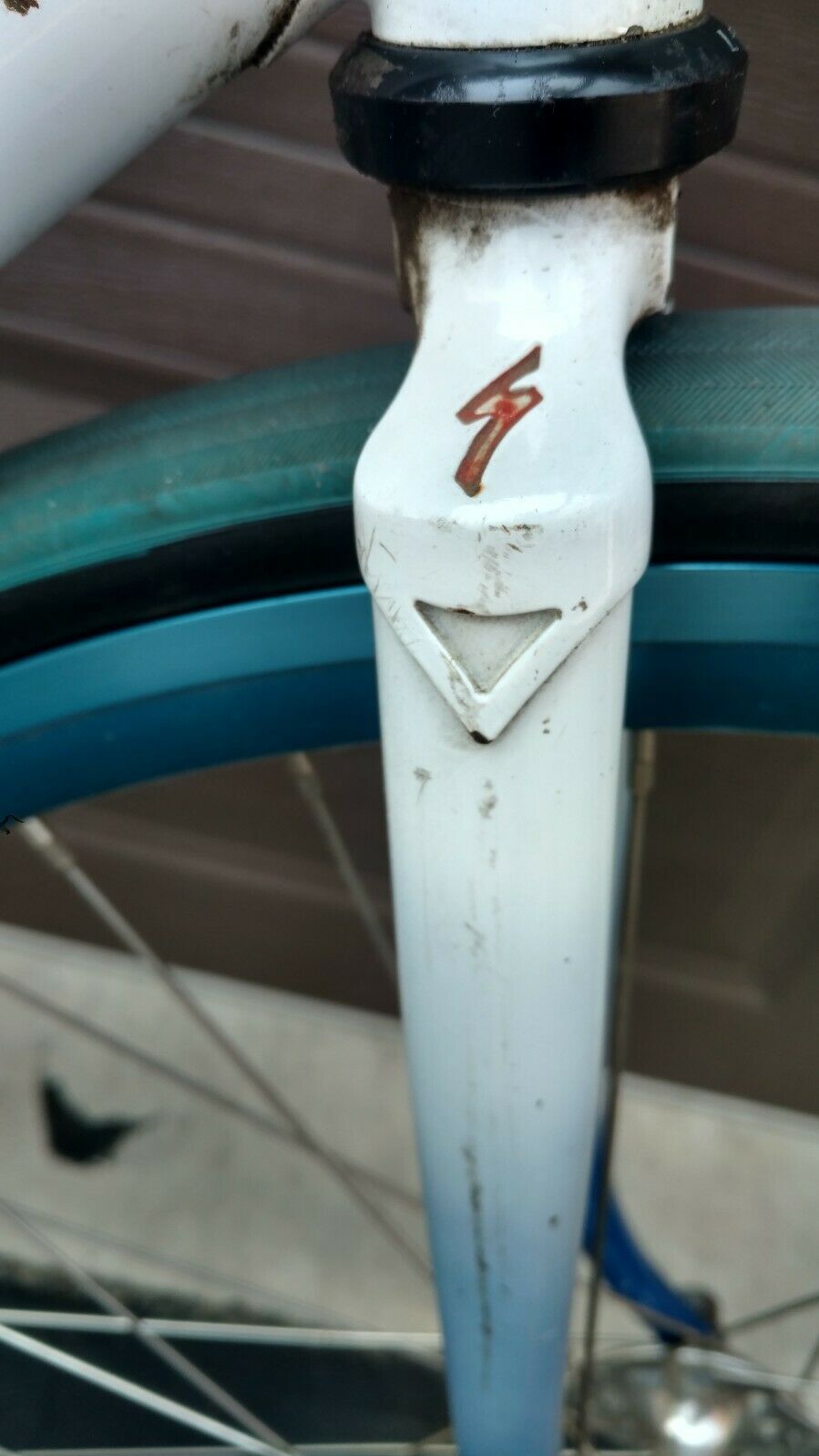 Dave Tesch Specialized Allez - Fresh Stock Dated October 2025