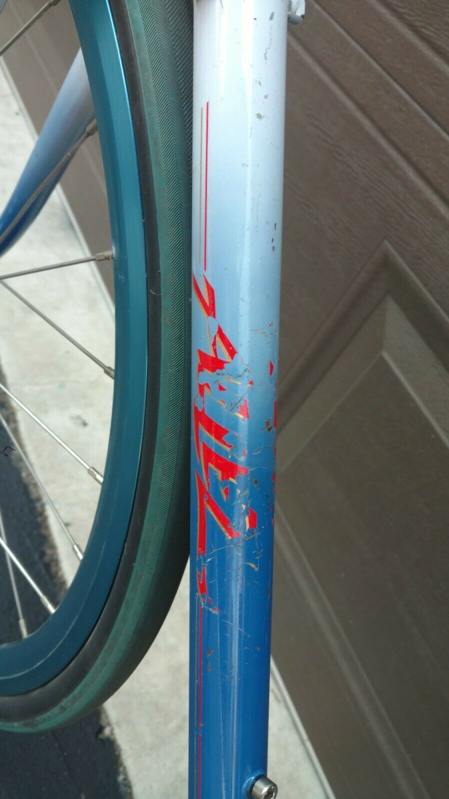 Dave Tesch Specialized Allez - Fresh Stock Dated October 2025