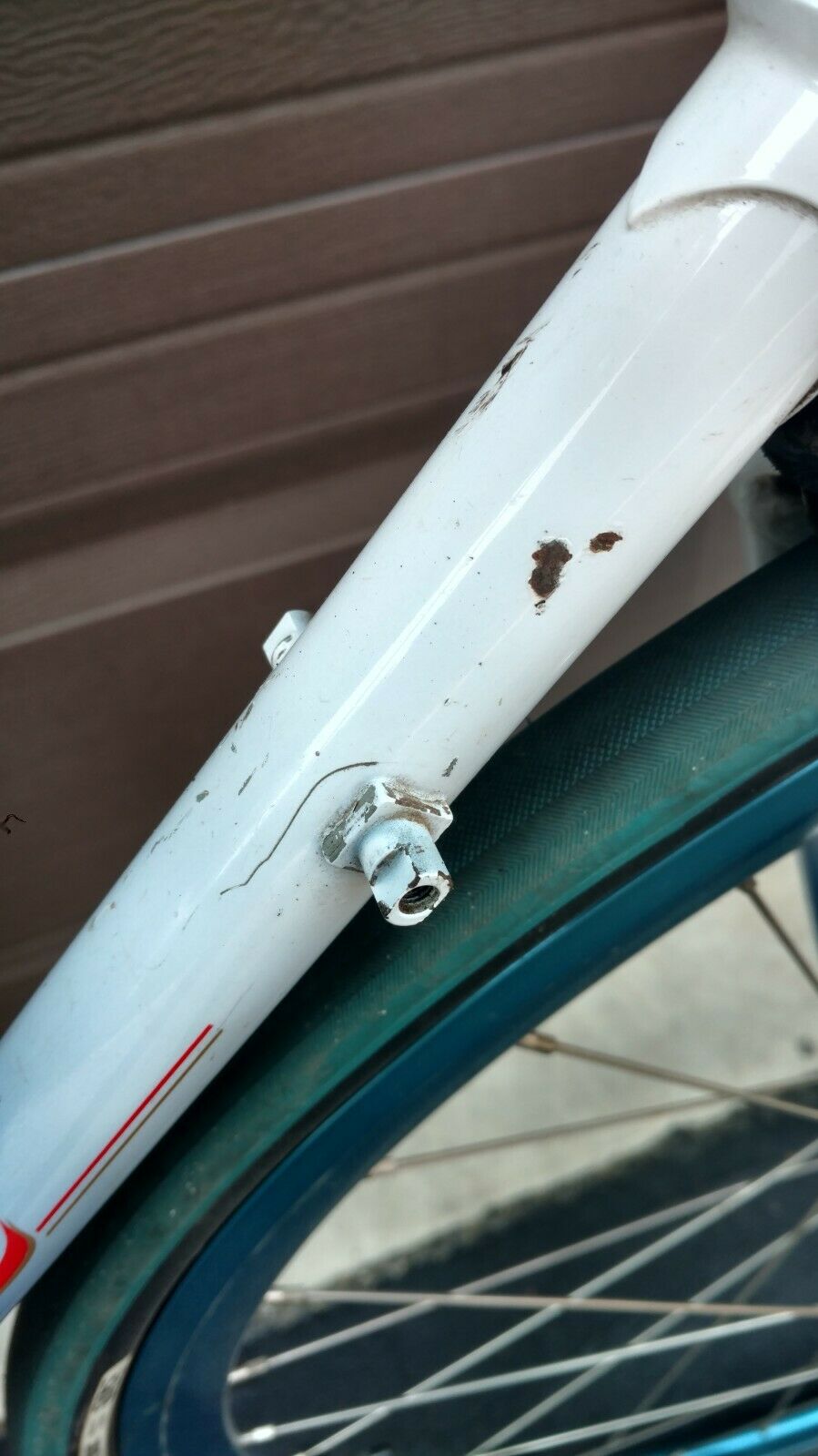 Dave Tesch Specialized Allez - Fresh Stock Dated October 2025