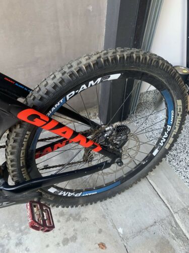 Giant Glory Downhill Bike Mint Condition. Nvr Ridden On Trails or Downhill - Fresh Stock Dated October 2025