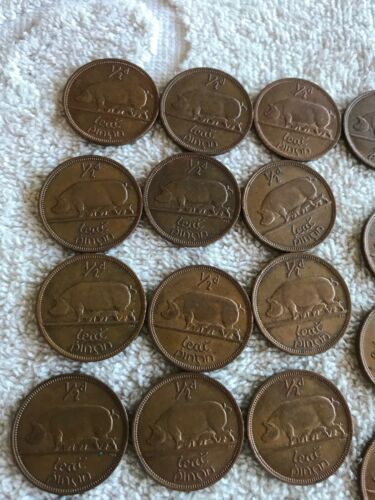 Lot Of 25 Irish Lucky Half-pennies 1966 & 1967 - Fresh Stock Dated October 2025