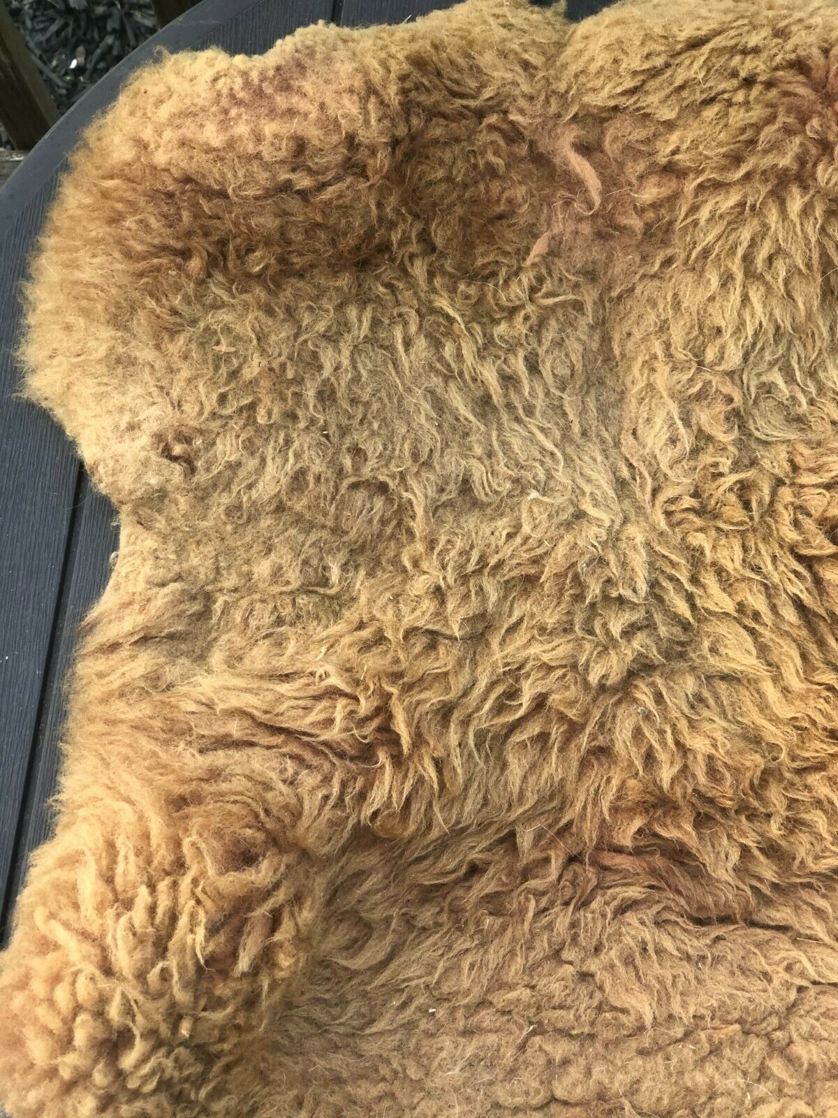 Vintage Sheepskin Saddle Cover Pad Sheep Skin Cushion Horse Tack Equestrian - Fresh Stock Dated October 2025